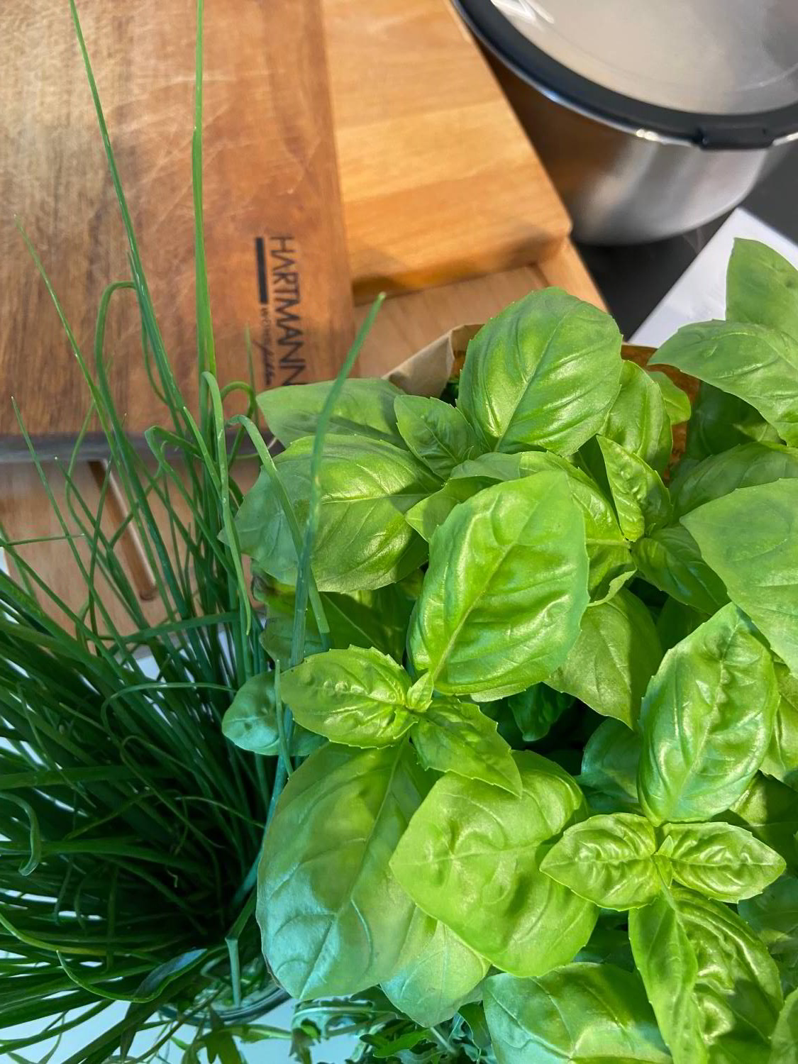 Grüne Kräuter (Basilikum, Schnittlauch und Rucola) mit einem Holzschneidbrett mit dem Logo der Schreinerei Hartmann-WOHNfühlen im Hintergrund